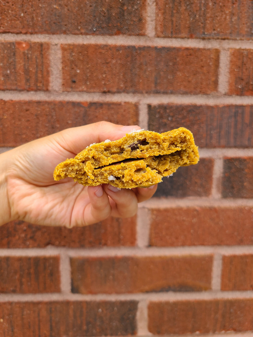 Pumpkin Chocolate Chip Cookies (Dozen)