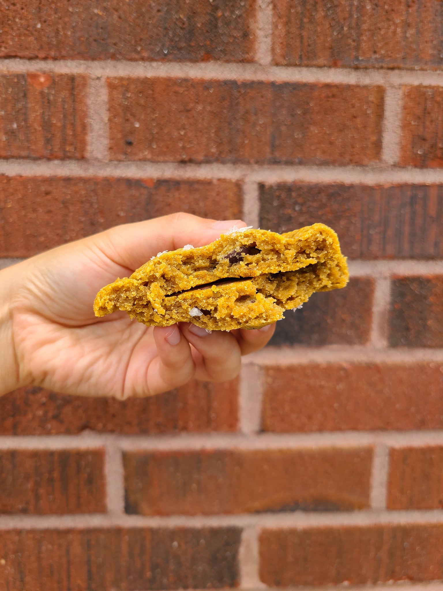 Pumpkin Chocolate Chip Cookies (Dozen)