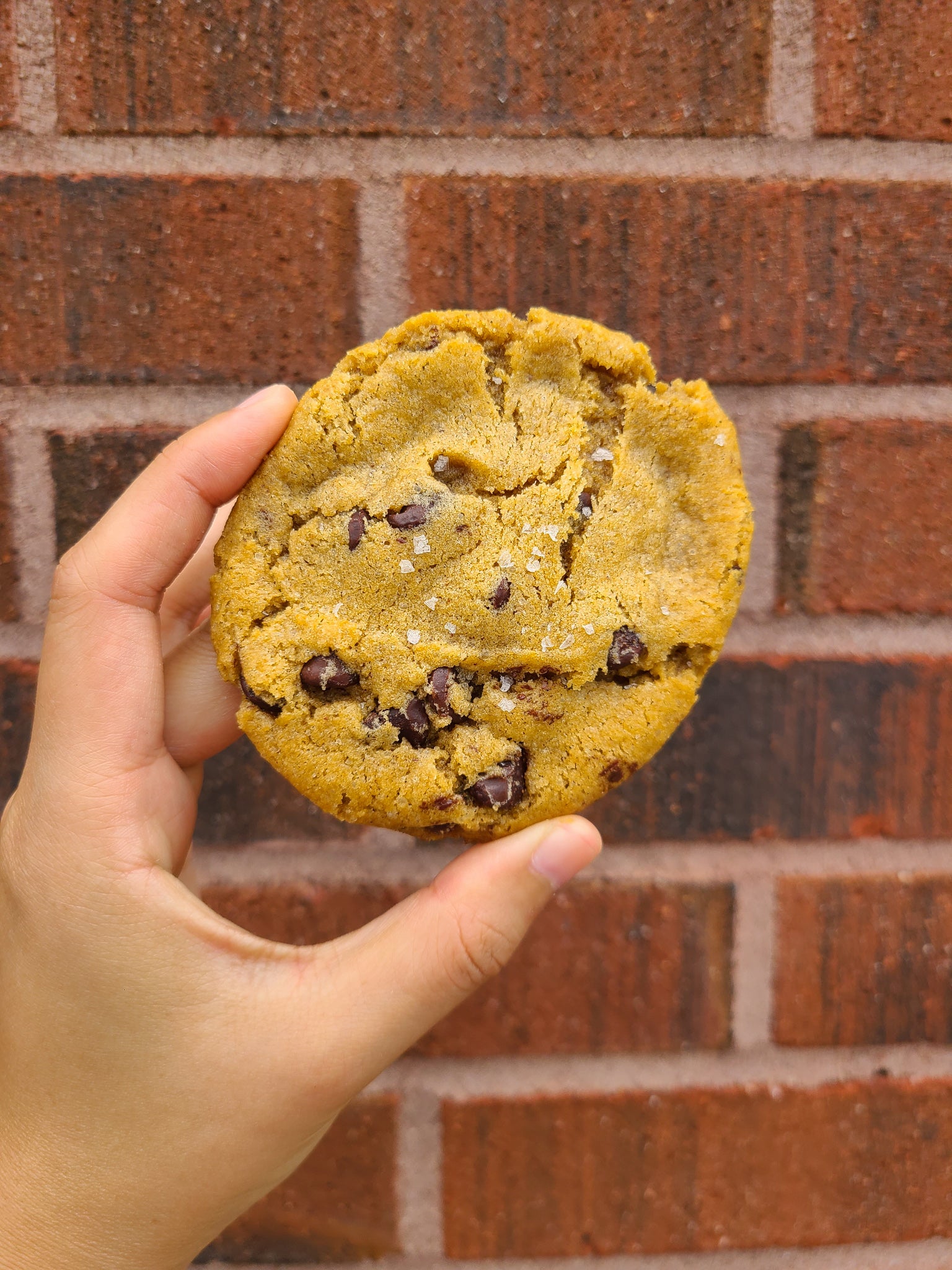 Pumpkin Chocolate Chip Cookies (Dozen)