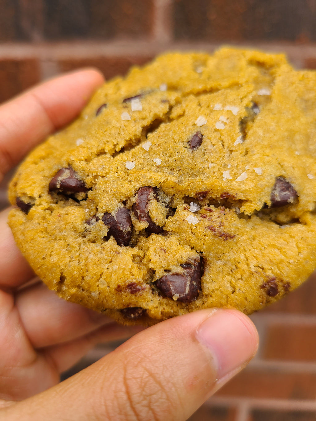 Pumpkin Chocolate Chip Cookies (Dozen)