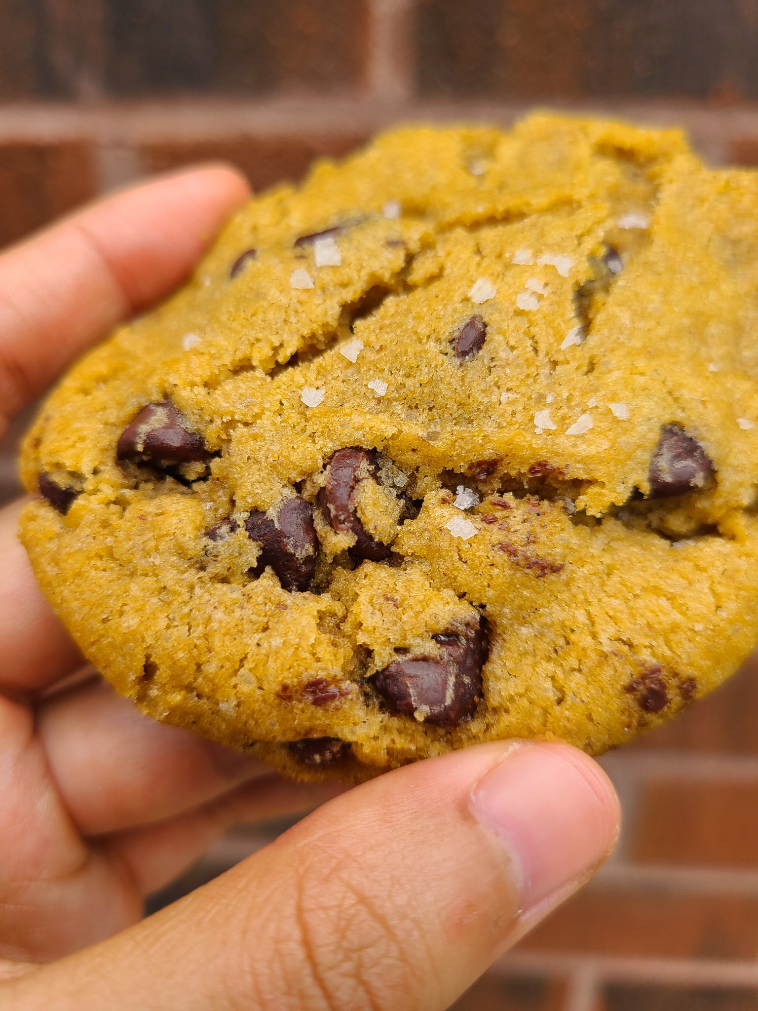 Pumpkin Chocolate Chip Cookies (Dozen)