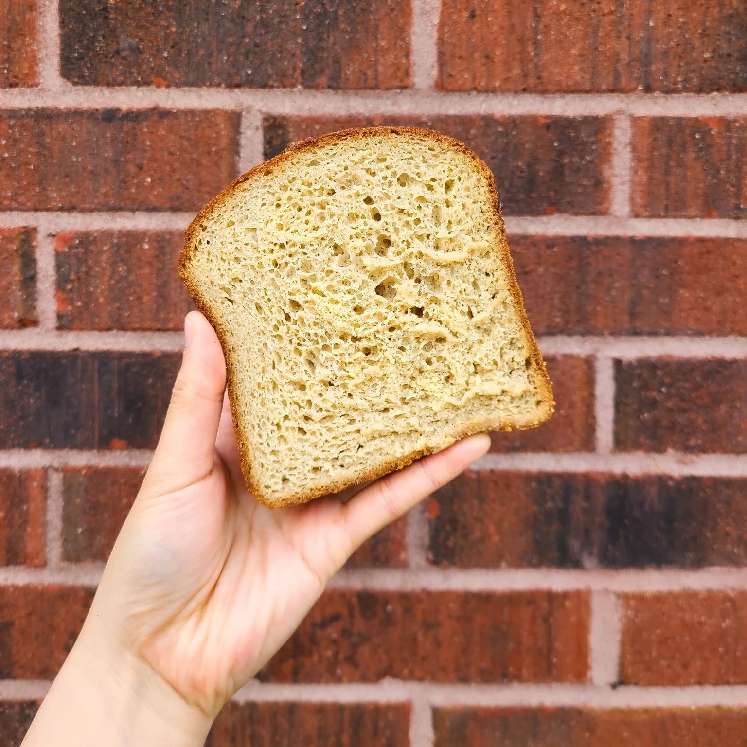 Sandwich Bread (DF)