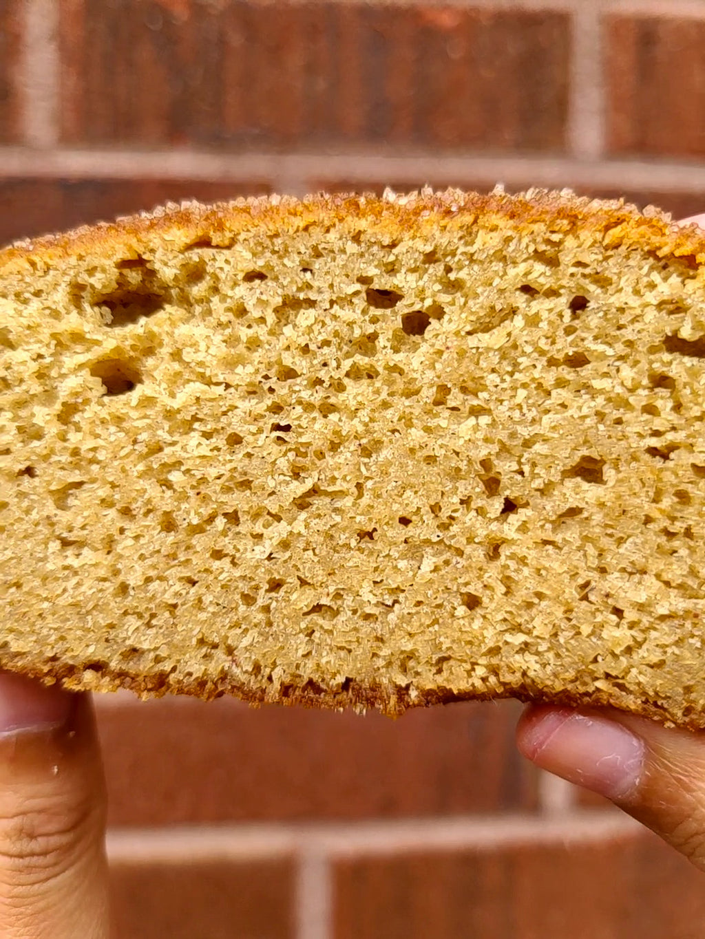 Apple Cider Donut Cake
