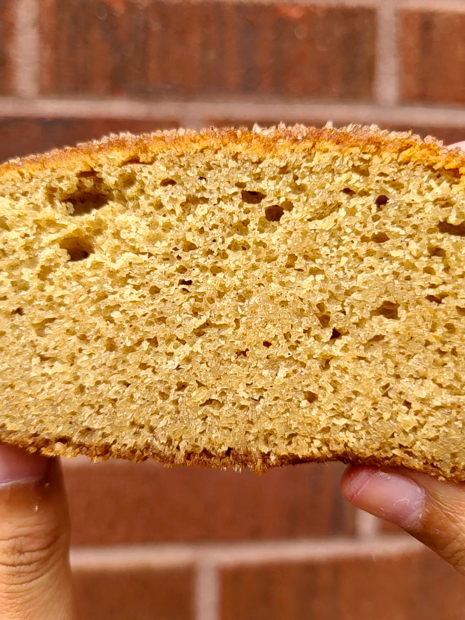 Apple Cider Donut Cake
